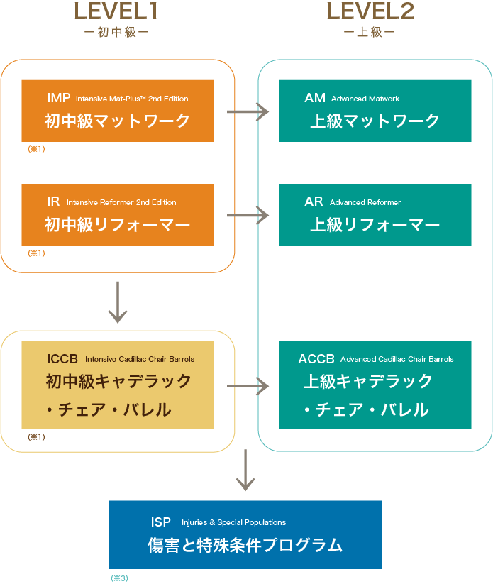 養成コース | FlexFit ピラティス・ワークアウト 綱島・大倉山